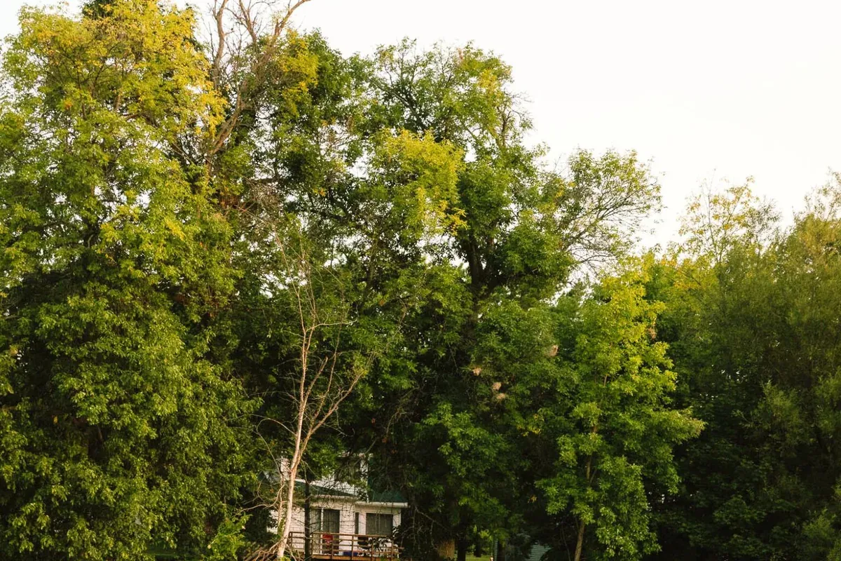 Elmhirst's Resort waterfront location
